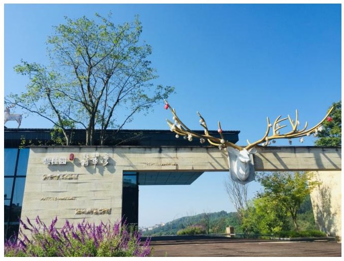 碧桂園1.jpg