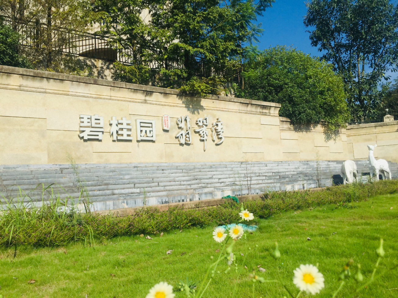 碧桂園.png